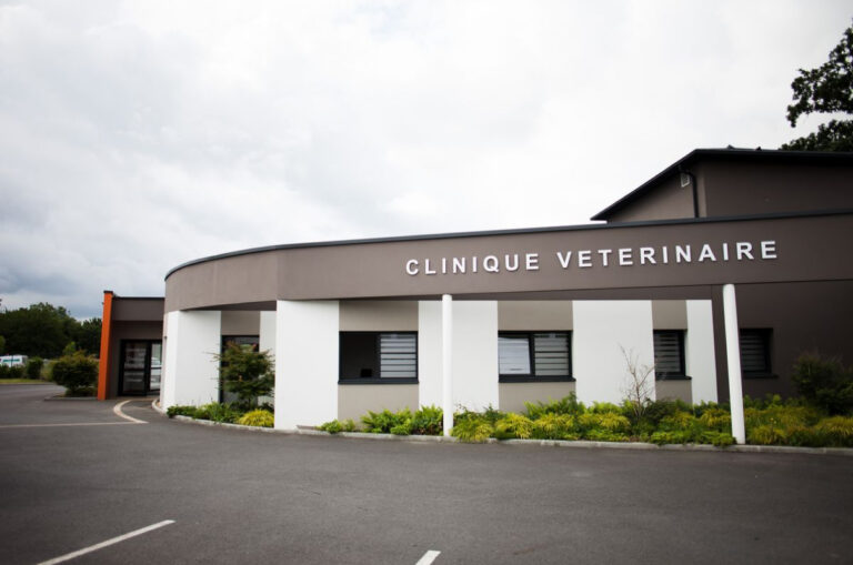 Hermit Alu Entreprise De Menuiserie Aluminium A Rennes Clinique Veterinaire Mordelles01